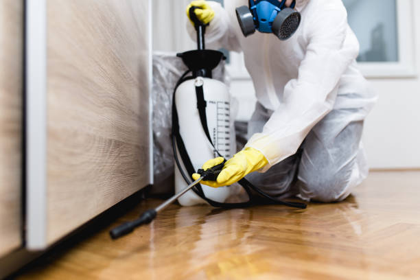 Trusted Fox Farm College, WY Pest Control Experts