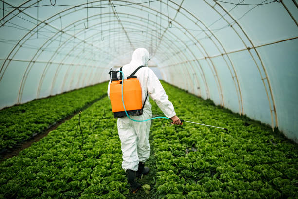 Best Ant Control Services  in Fox Farm College, WY